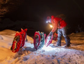 With LATITUR on Ushuaia you can make Trineos Husky, Raquetas y Cena en Nunatak