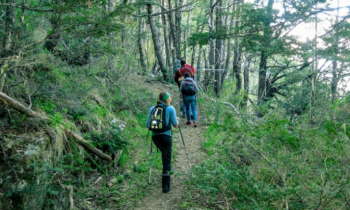 With LATITUR on Cerro Malo you can make Trekking y Ascenso al Cerro Mallo de 1800 msnm