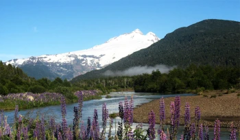 With LATITUR on San Carlos de Bariloche you can make Trekking al Cerro Tronador en 2 días