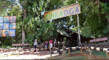 With LATITUR on Puerto Iguazú you can make Visita a refugio de animales silvestres Guira Oga