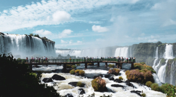 With LATITUR on Puerto Iguazú you can make Excursión a Cataratas Brasileras + Parque das Aves