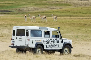 With LATITUR on El Calafate you can make Safari Experience en 4x4
