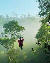 Aventura en la Selva Jungle Fly Iguazú
