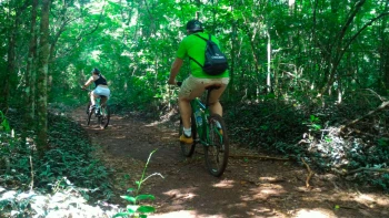 With LATITUR on Foz do Iguaçu you can make Iguazú Bike Tour: En Bicicleta a las Cataratas