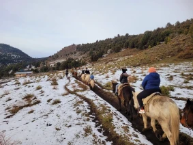 With LATITUR on San Martin de los Andes you can make Cabalgata de Montaña hasta el Mirador de 2 horas