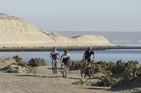 With LATITUR on Puerto Madryn you can make Bici Tour en Punta Loma y Cerro Avanzado