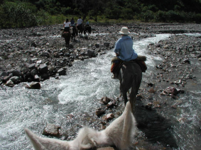 With LATITUR on actividad you can make Cabalgata a Quebrada de San Lorenzo en Salta