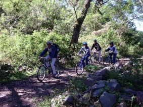 With LATITUR on San Lorenzo you can make Bicicleta a Uriburu en Salta de 7 horas