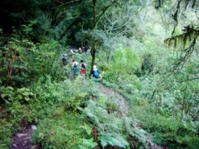 With LATITUR on actividad you can make Trekking a la Quebrada de San Lorenzo de 3 horas