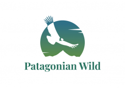 Patagonian Wild